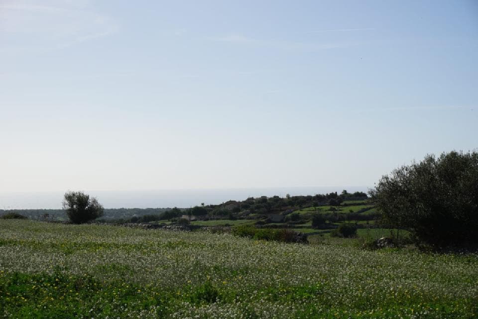 Charming farmhouse in the heart of the Modica countryside 1