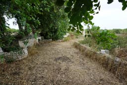 Renovated Country House in Modica 4