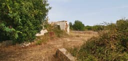 Renovated Country House in Modica 5