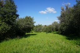 Sunlit Country House with Land in Scicli 4