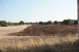 Rustic Country House with Land in Scicli 2