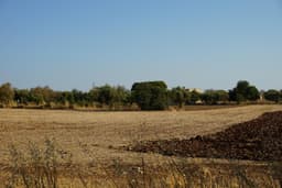 Rustic Country House with Land in Scicli 3